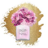 Paris Scents 2 #51446 Paris Scents 2 #51446