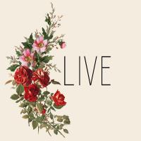 Live Laugh Love 3 #51478 Live Laugh Love 3 #51478