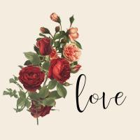 Live Laugh Love 5 #51480 Live Laugh Love 5 #51480