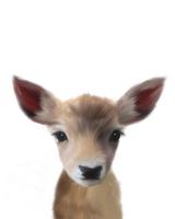 BABY DEER #51573 BABY DEER #51573