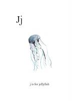 J is for Jellyfish #51581 J is for Jellyfish #51581