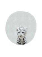 Baby White Tiger #51590 Baby White Tiger #51590