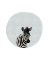 Baby Zebra #51591 Baby Zebra #51591