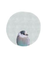 Baby Circle Bird #51592 Baby Circle Bird #51592