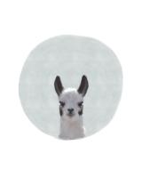 Baby Circle Llama #51594 Baby Circle Llama #51594