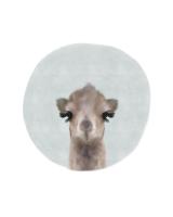 Baby Camel Circle #51596 Baby Camel Circle #51596