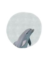 Baby Dolphin Circle #51597 Baby Dolphin Circle #51597