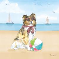 Summer Paws V No Words #51628 Summer Paws V No Words #51628