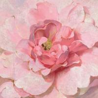 Blushing Metallic Peony #51630 Blushing Metallic Peony #51630