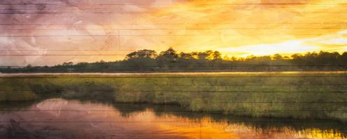 Marsh Sunset #51776 Marsh Sunset #51776