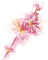 Water Inked Florals Mate #51804 Water Inked Florals Mate #51804