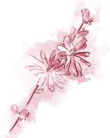 Water Inked Florals Mate Blush #51806 Water Inked Florals Mate Blush #51806