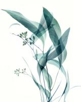 Gentle Botanical 4 #51845 Gentle Botanical 4 #51845