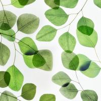 Verdant Leaves 2 #51876 Verdant Leaves 2 #51876