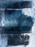 Placid Blue- #51898 Placid Blue- #51898