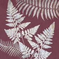 Fern Time 2 #51906 Fern Time 2 #51906
