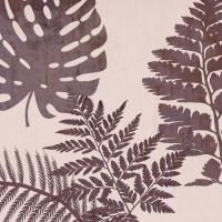 Fern Time 3 #51907 Fern Time 3 #51907