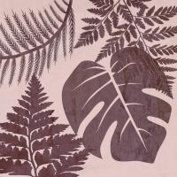 Fern Time 4 #51908 Fern Time 4 #51908