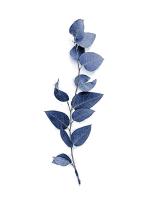 Navy Tiny Branch #51944 Navy Tiny Branch #51944