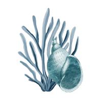 Coastal Coral 4 #52014 Coastal Coral 4 #52014