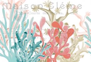 Coral Coastal 1 #52023 Coral Coastal 1 #52023
