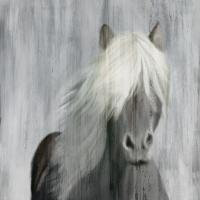 White Mane #52044