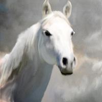 White Knight #52048