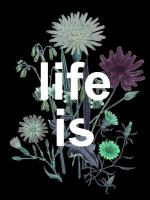 Life Is Beautiful #52090 Life Is Beautiful #52090