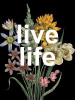 Live Life #52091 Live Life #52091