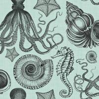 Coastal Farmhouse Pattern IB #52327