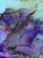 Colorful Evolution #52700 Colorful Evolution #52700