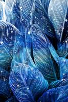 Midnight Palm Leaves 1 #52733 Midnight Palm Leaves 1 #52733
