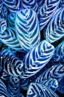 Midnight Palm Leaves 2 #52734 Midnight Palm Leaves 2 #52734
