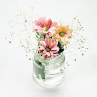 Flowers In A Jar #52862 Flowers In A Jar #52862