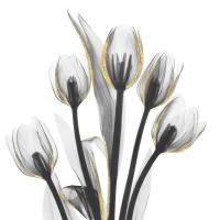 Gold Embellished Tulips 1 #52926 Gold Embellished Tulips 1 #52926