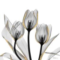 Gold Embellished Tulips 5 #52930 Gold Embellished Tulips 5 #52930
