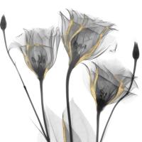 Gold Embellished Gentians 1 #52931 Gold Embellished Gentians 1 #52931
