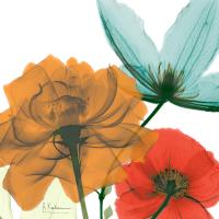 Inspired Bunch 1 #52932 Inspired Bunch 1 #52932