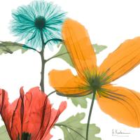 Inspired Bunch 2 #52933 Inspired Bunch 2 #52933