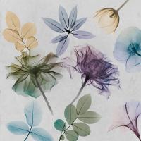 Floral Collage 1 #52938 Floral Collage 1 #52938
