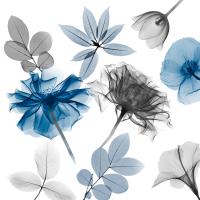 Floral Collage 3 #52939 Floral Collage 3 #52939