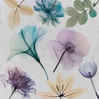 Floral Collage 2 #52940 Floral Collage 2 #52940