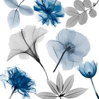 Floral Collage 4 #52941 Floral Collage 4 #52941