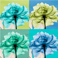 blue Green Flowers 1 #52949 blue Green Flowers 1 #52949