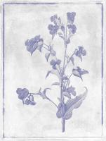 Monochrome Floral Lavender #52975 Monochrome Floral Lavender #52975