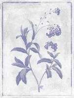 Monochrome Floral Lavender 2 #52976 Monochrome Floral Lavender 2 #52976