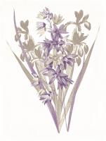 Lavender Flowers Three #52979 Lavender Flowers Three #52979