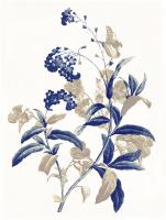 Indigo Flowers Two #52985 Indigo Flowers Two #52985