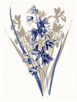 Indigo Flowers Three #52986 Indigo Flowers Three #52986