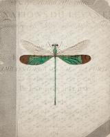 Dragonfly Book 2 #53053 Dragonfly Book 2 #53053
